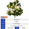 森系-JY2150-植物音乐餐吧装饰吊灯