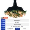 森系-JY2161-植物音乐餐吧装饰吊灯