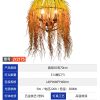 森系-JY2175-植物音乐餐吧装饰吊灯