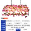 森系-JY2206-植物音乐餐吧装饰吊灯