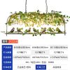 森系-JY2216-植物音乐餐吧装饰吊灯